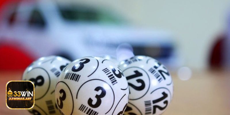 Nuôi lô khung 5 ngày - Lợi ích & giới hạn